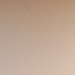 Meet your Posher, Nikesha